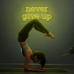 Never Give Up