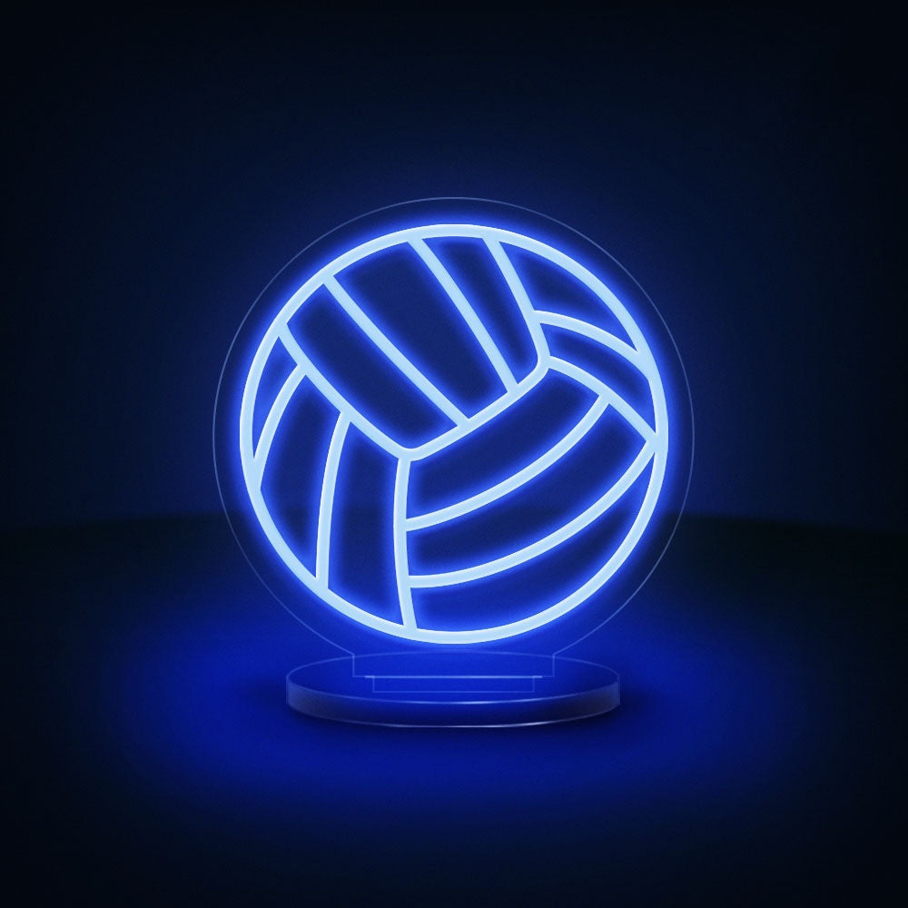 Volleyball Ball