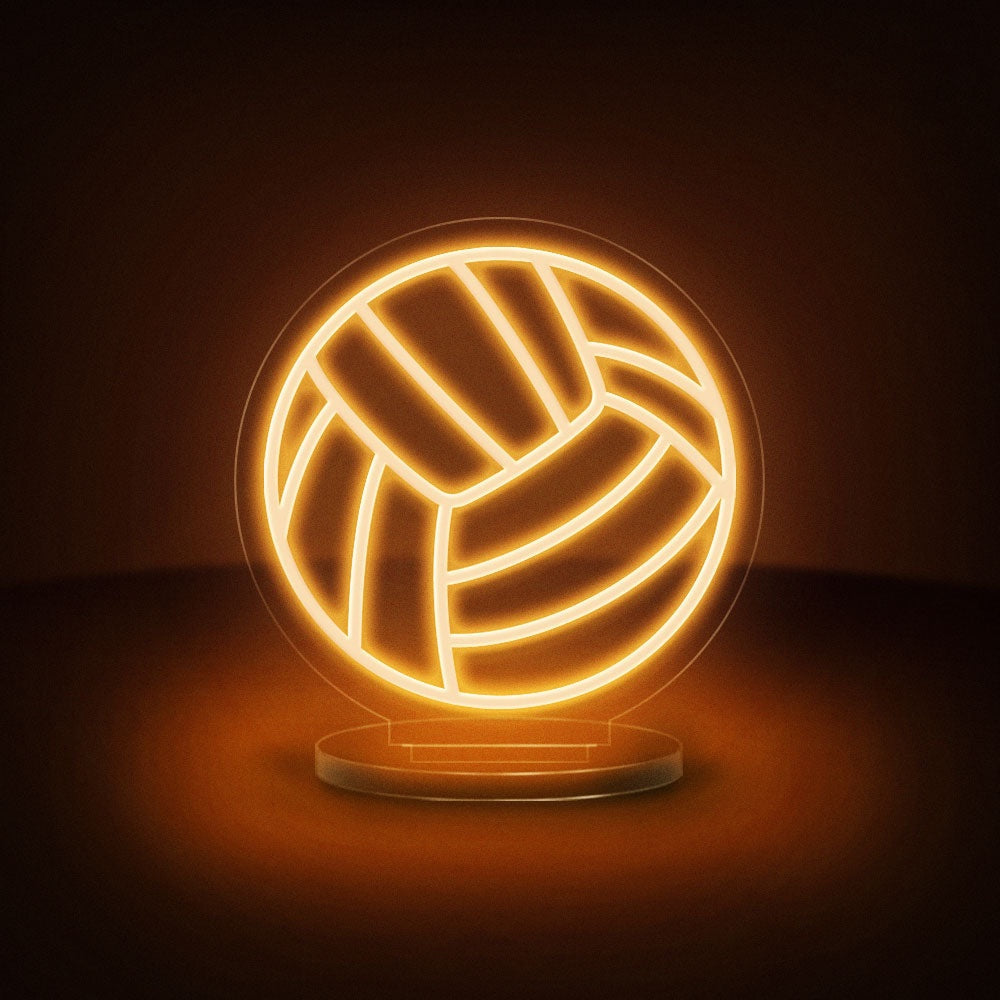 Volleyball Ball