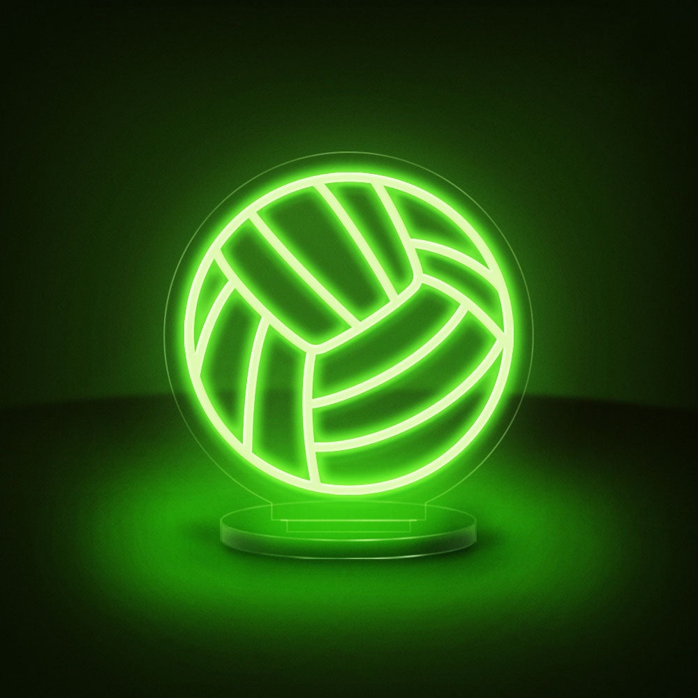 Volleyball Ball