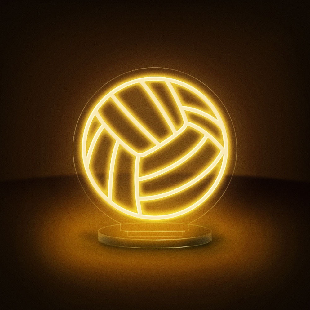 Volleyball Ball