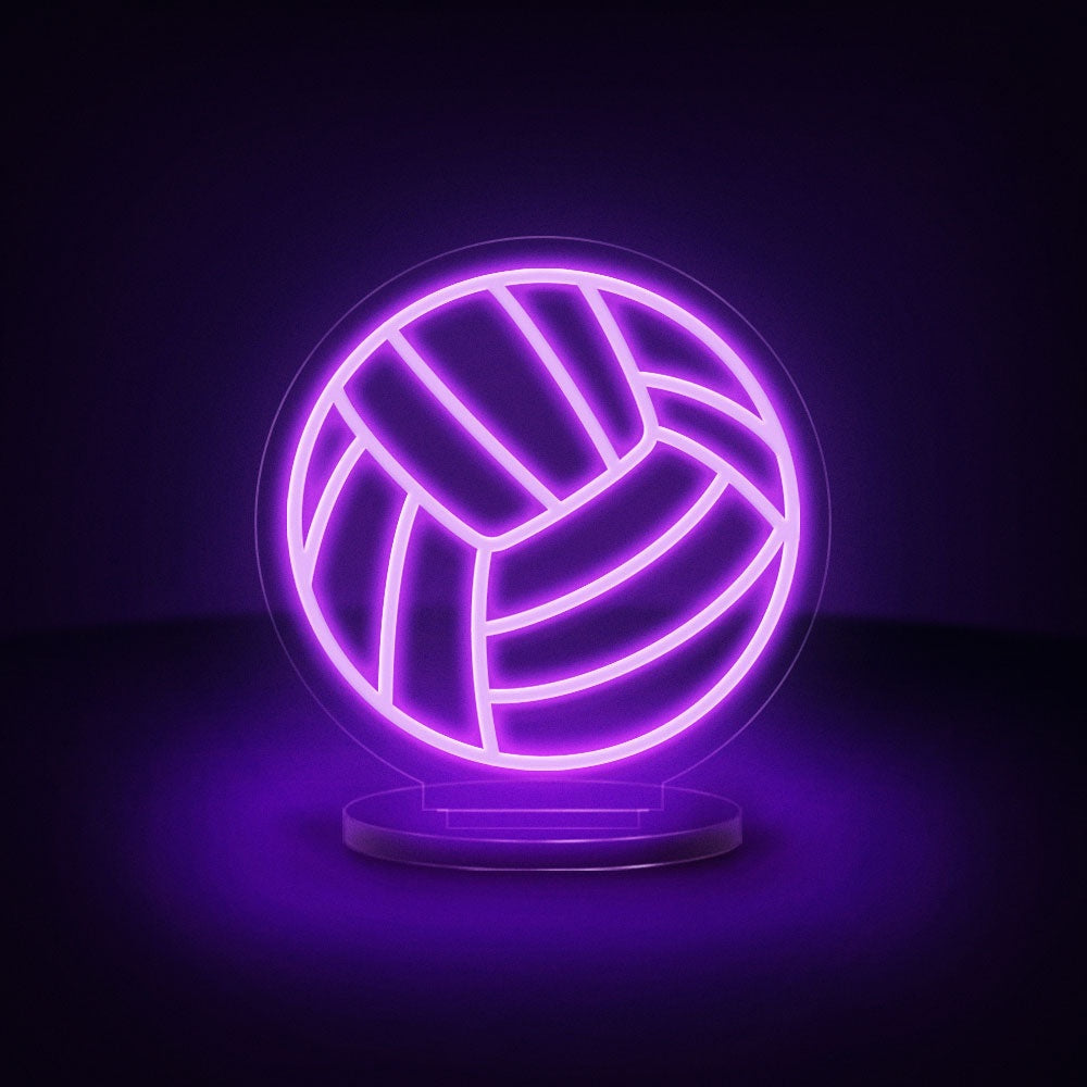 Volleyball Ball