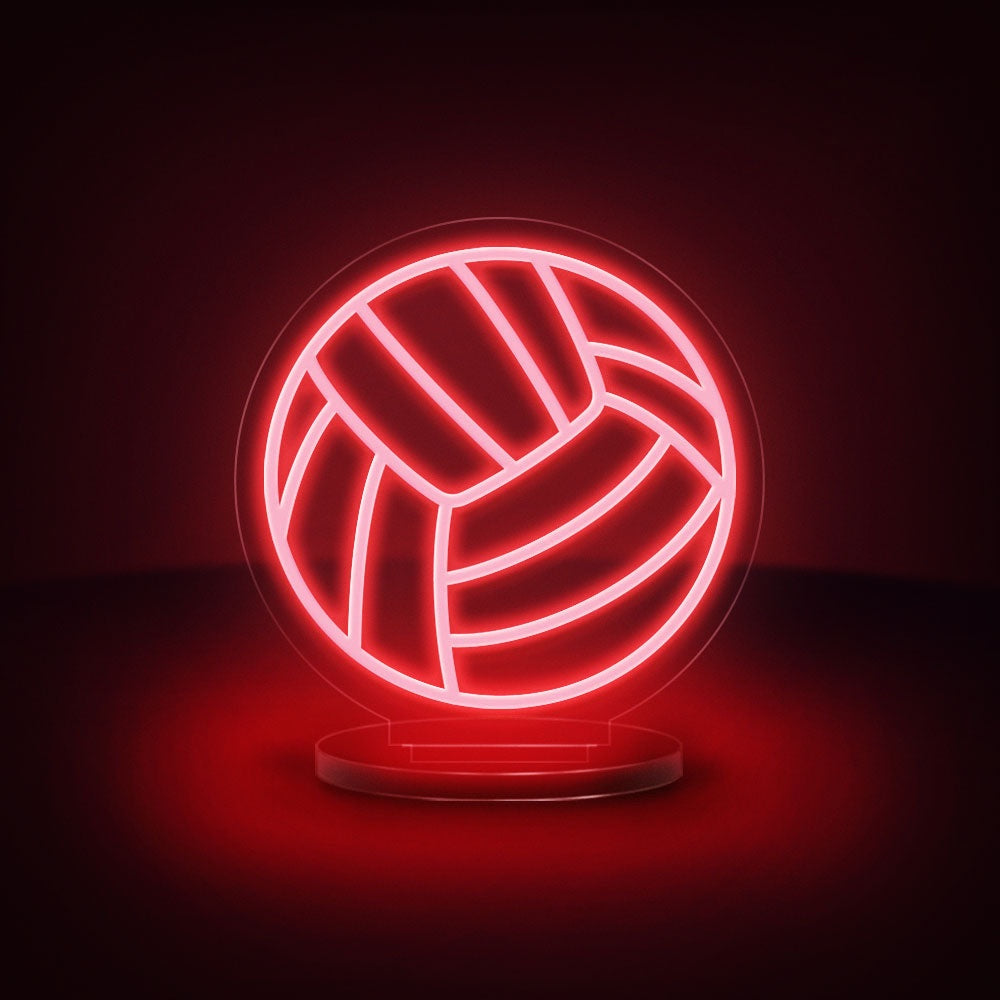 Volleyball Ball